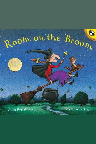 Room on the Broom book cover
